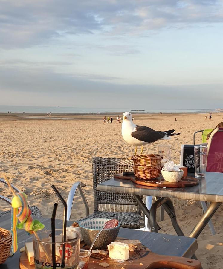 Le Home Sweet Home D'Alice!!! A La Villa Alice Roger Dunkirk Exteriör bild